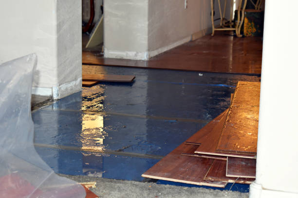 Professional Emergency Water Damage Restoration technician working in High Ridge, MO